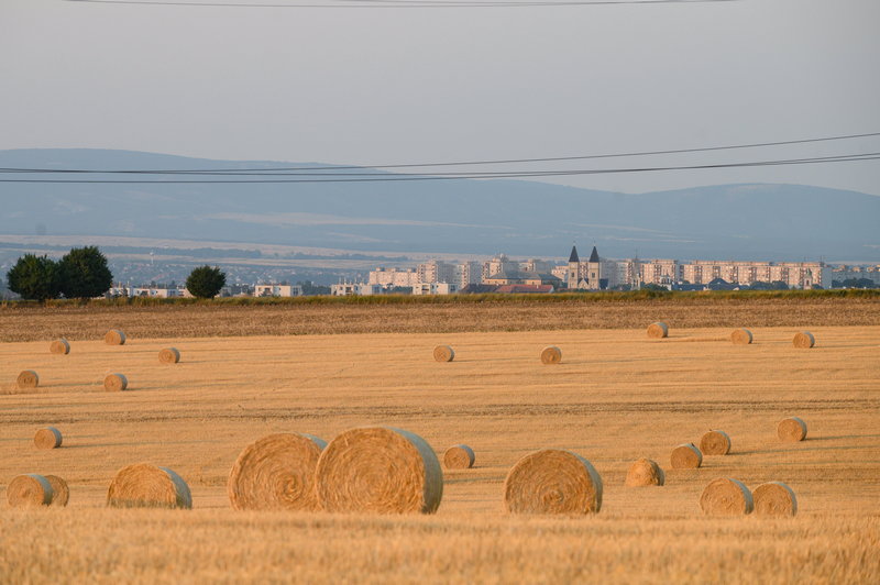 Szalmabálák