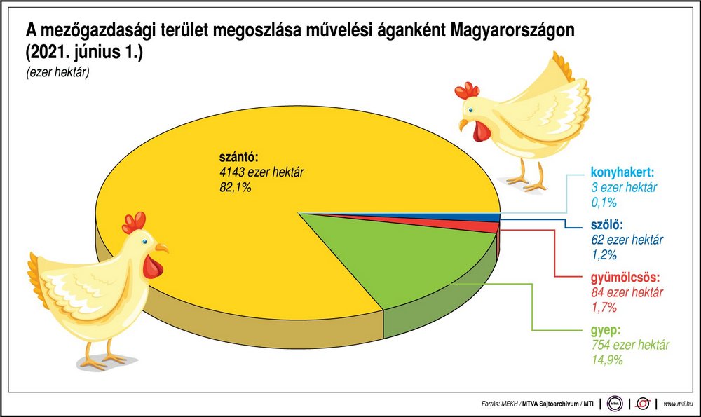 mezőgazdasági terület művelési áganként