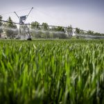 Véghatáridejéhez közeledik „A mezőgazdasági vízgazdálkodási ágazat fejlesztése” pályázat beadása