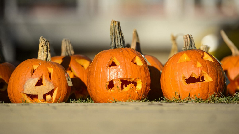 sütőtök halloween-tök