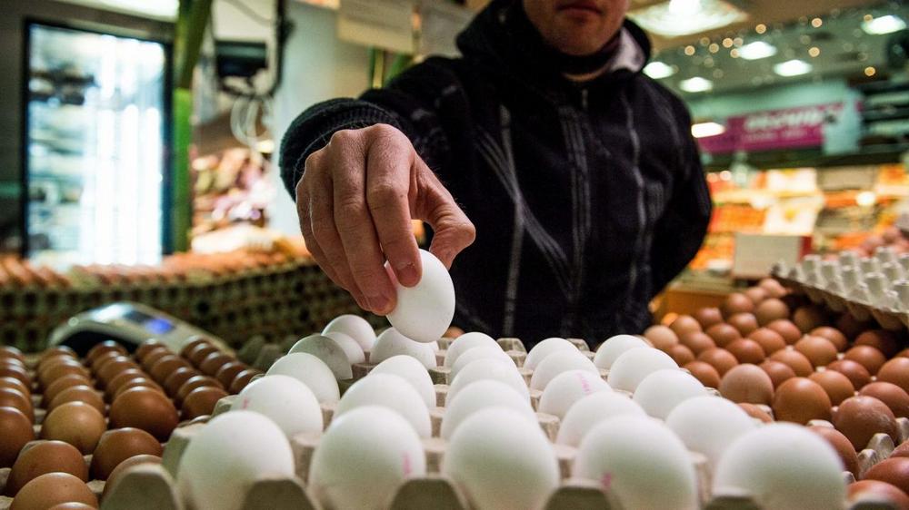 tojás vásárcsarnok piac