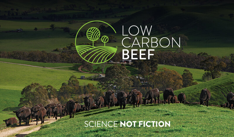marha tehén öko Low Carbon Beef