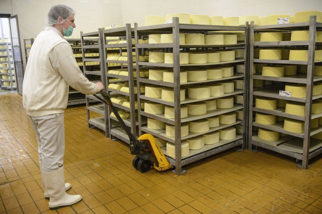 sajt-sajtgyártás-élelmiszer