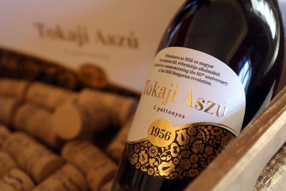 tokaj tokaji aszú bor borászat