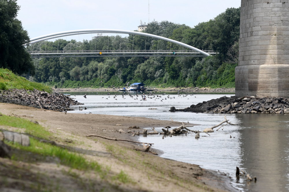 aszály-tisza-folyó vízállás