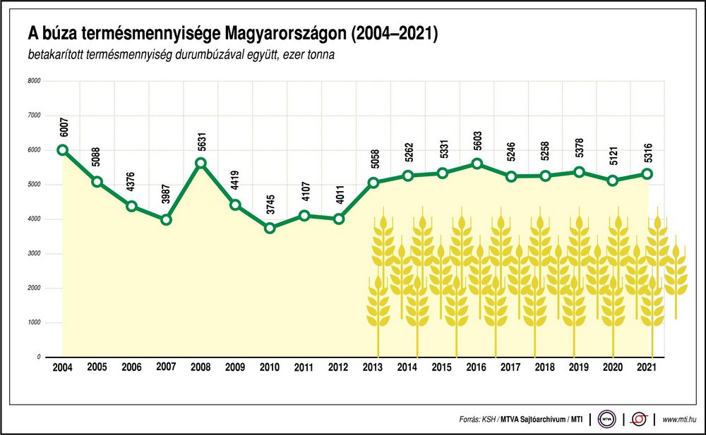 búza termésmennyisége Magyarországon