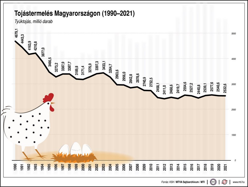 tojás tojástermelés