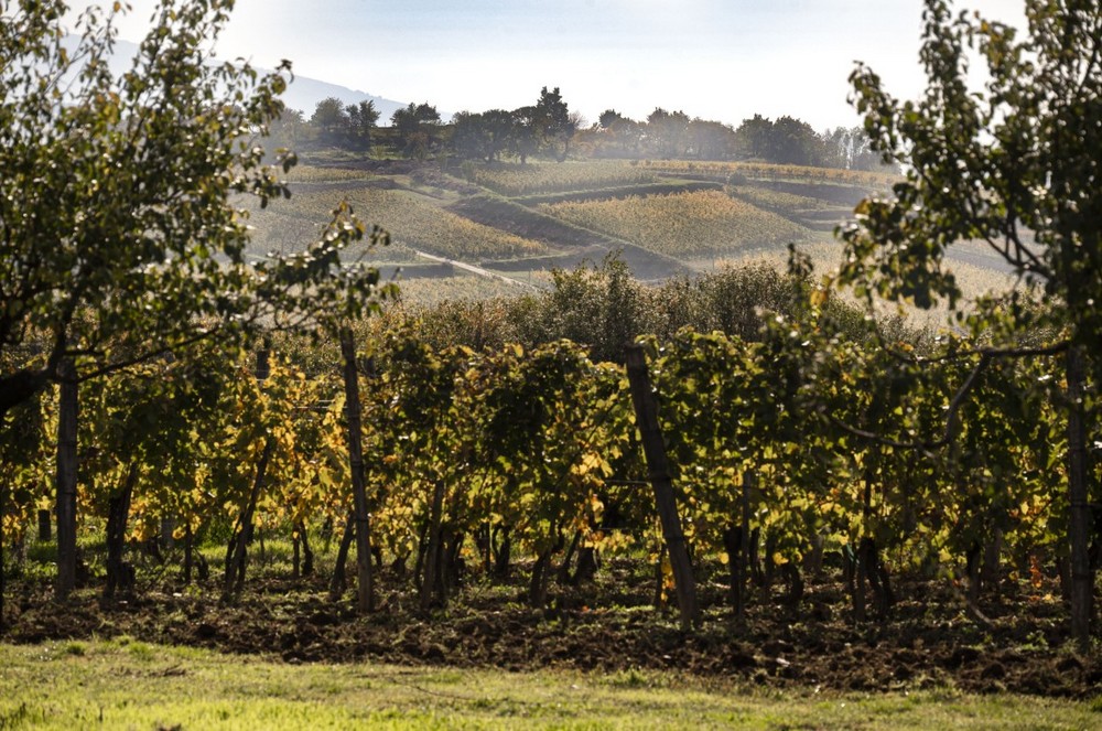 tokaj hegyalja mád Úrágya Szepsy birtok