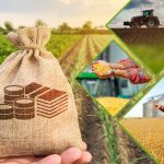 Több mint 171 milliárd új mezőgazdasági beruházásokra