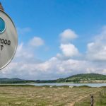 Már fizetik az erdőterületek Natura 2000 támogatását