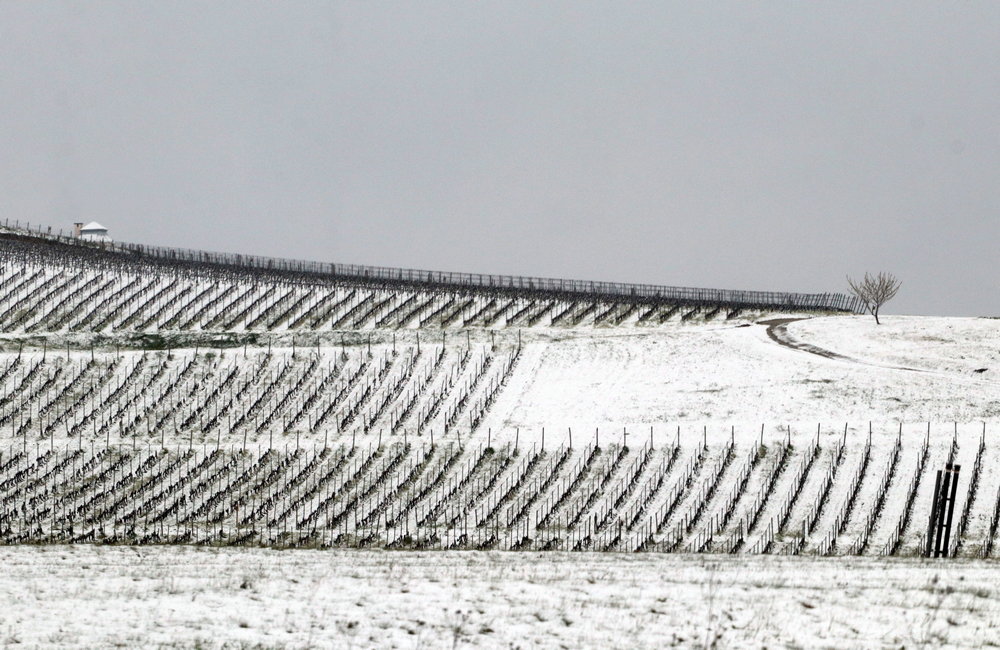 tokaj-hegyalja-tél-hó-havazás