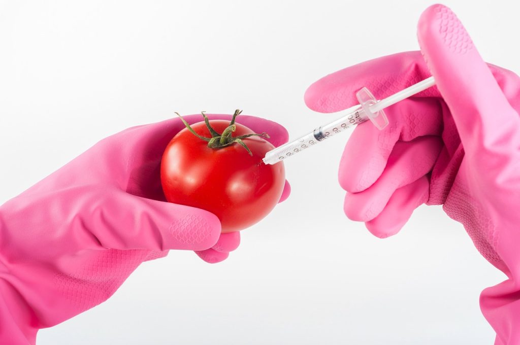 gmo génmódosít labor kísérlet