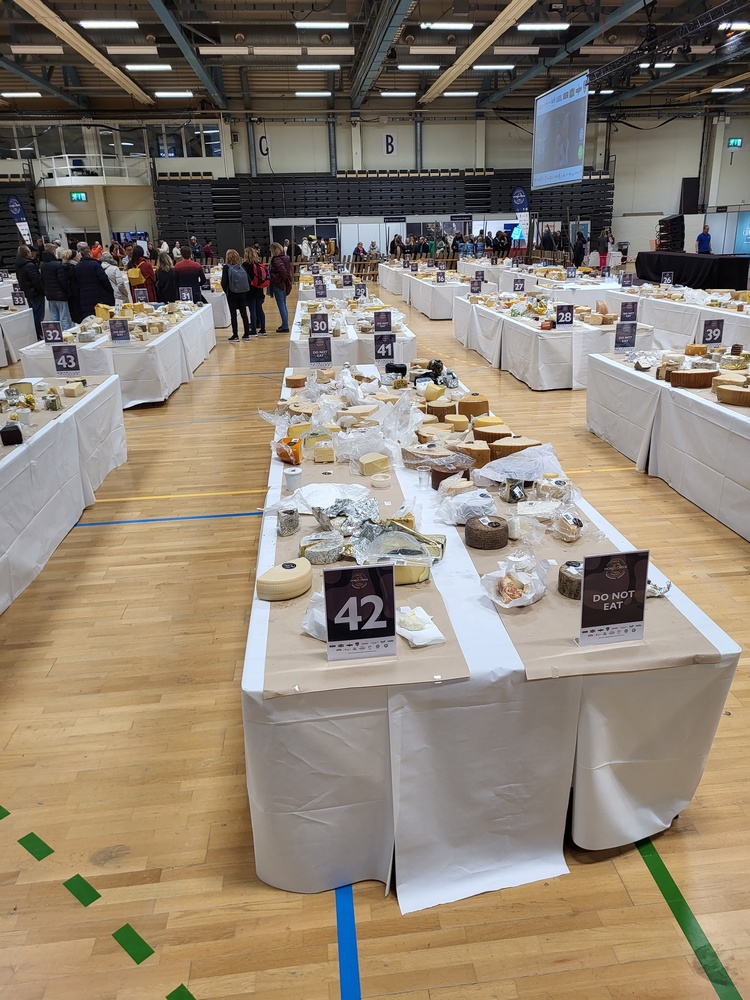 sajt sajtverseny World Cheese Awards 2023