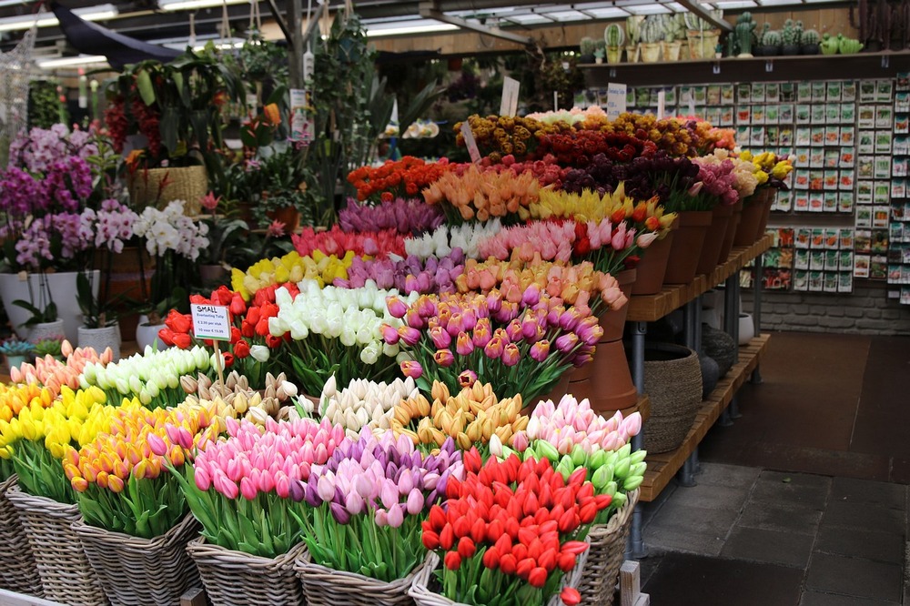 hollandia amszterdam virág tulipán piac
