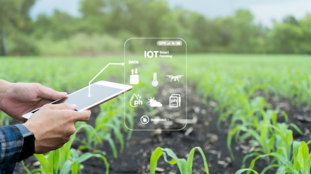 A digitális megoldásokat és precíziós szolgáltatásokat összefoglaló platformot indít a NAK 1 mezőgazdaság agrár digitalizáció okostelefon