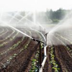 Több milliárd forintos támogatás jut öntözésfejlesztésre a KAP új ciklusában
