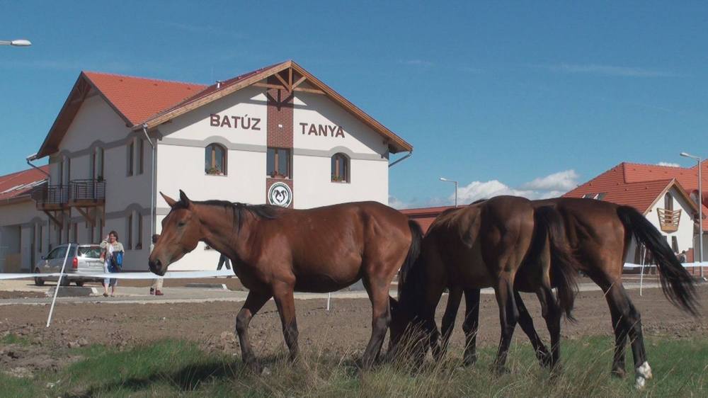 Nagyszabású fejlesztés indul a Batúz-tanyán 1 Batuz tanya