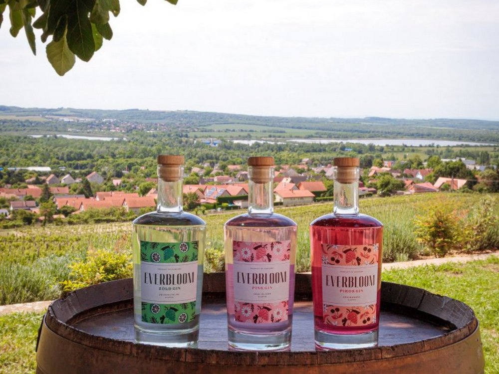 Csökken a borfogyasztás? Jönnek a szőlő alapú gintermékek 1 szőlő gin