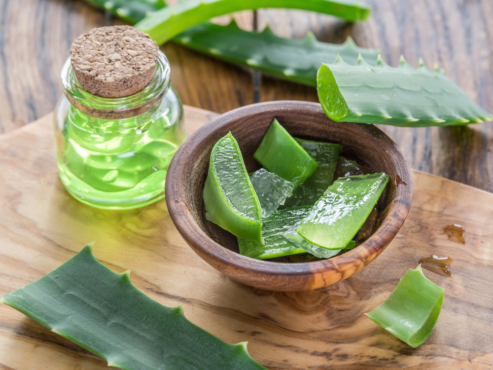 Aloe vera