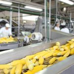 Önerő nélkül is hitelhez juthatnak a feldolgozóipari mikro- és kisvállalkozások