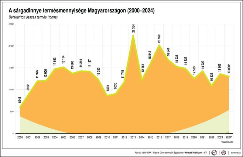 sárgadinnye-termesztés