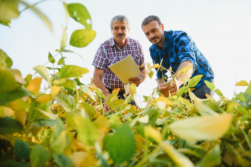 Újabb pályázat ösztönzi a generációváltást az agráriumban 1 bab - fiatal gazda generaciováltás a mezőgazdaságban