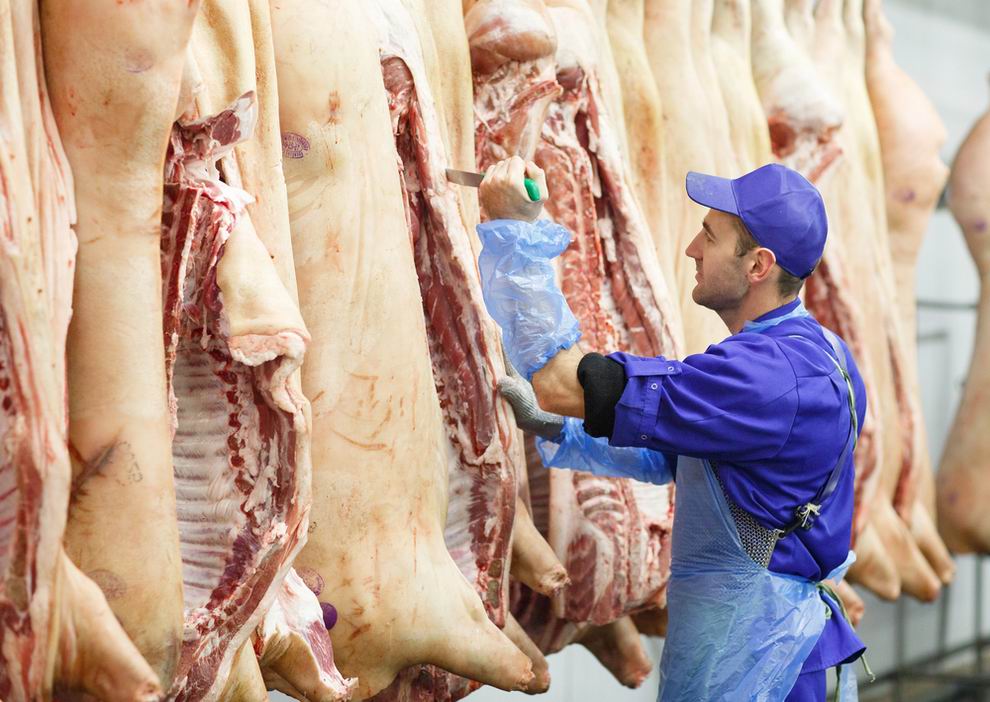 Kevesebb baromfi, több sertés és szarvasmarha került a hazai vágóhidakra az első félévben 1 vágóhíd sertés