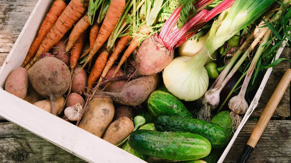 Agroturizmus a gyakorlatban – nagy sikert aratott a Helyi Kincsek Napja 1 Helyi Kincsek Napja zöldség