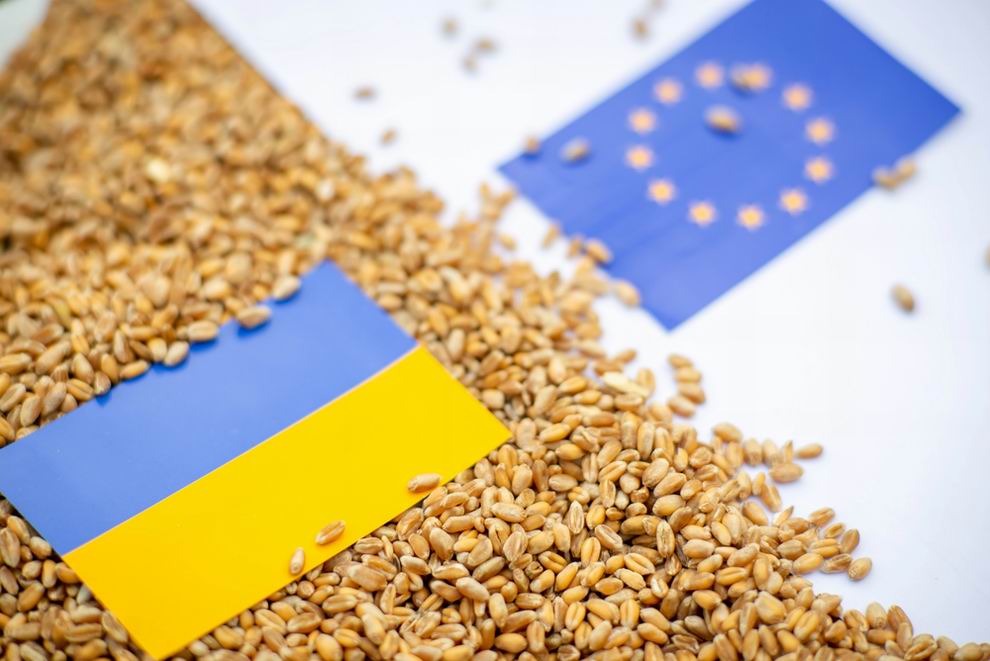 NAK: Veszélybe sodorja az európai élelmiszertermelés jövőjét az EU-ukrán szabadkereskedelmi megállapodás 1 eu ukrán gabona