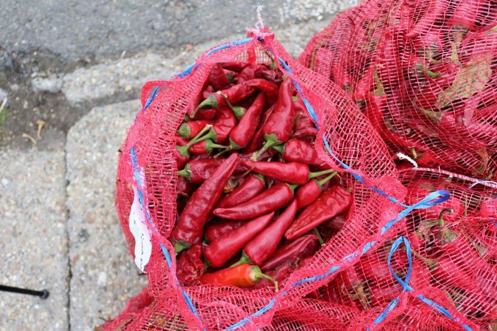 Válságban a magyar fűszerpaprika-termelés – kínai paprika szorítja ki a kalocsai hungarikumot 1 kalocsai paprika fűszerpaprika