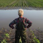 Milyen károkra nyújtható be kérelem a kárenyhítő juttatáshoz?