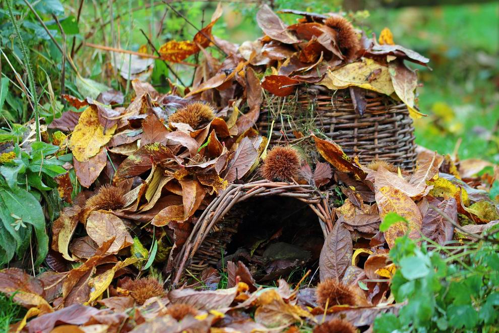 sün védelem odú - állatbarát kert