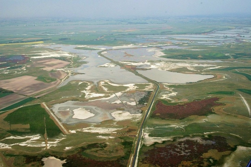 Böddi-szék a Kiskunsági Nemzeti Park területén