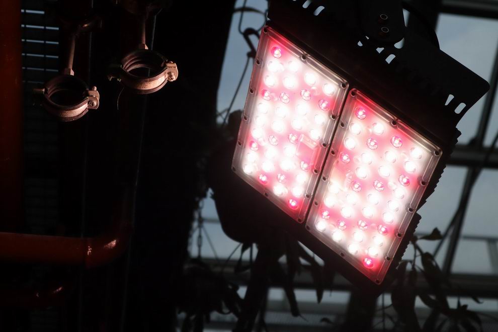 Ledium led világítás