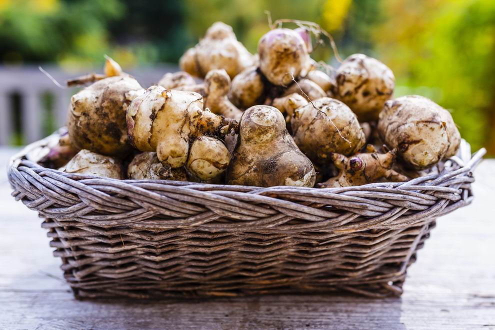 csicsoka Depositphotos 422221062 S