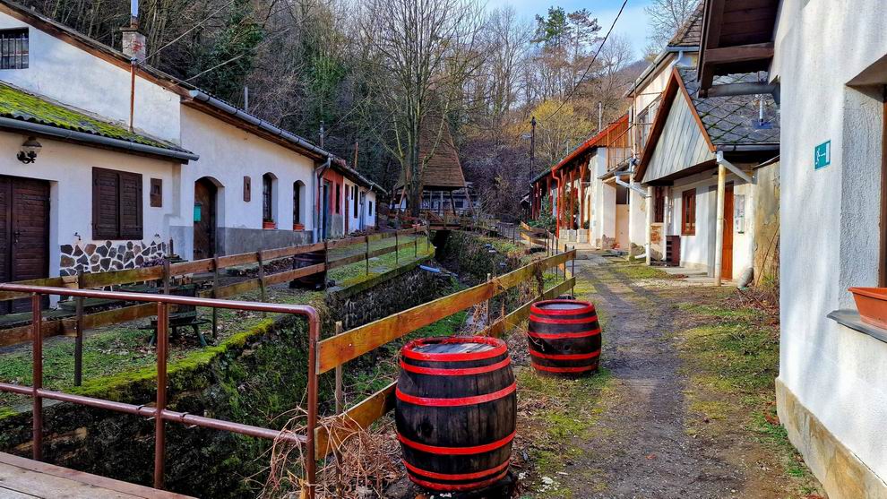 Zsólyomkai-pincesor