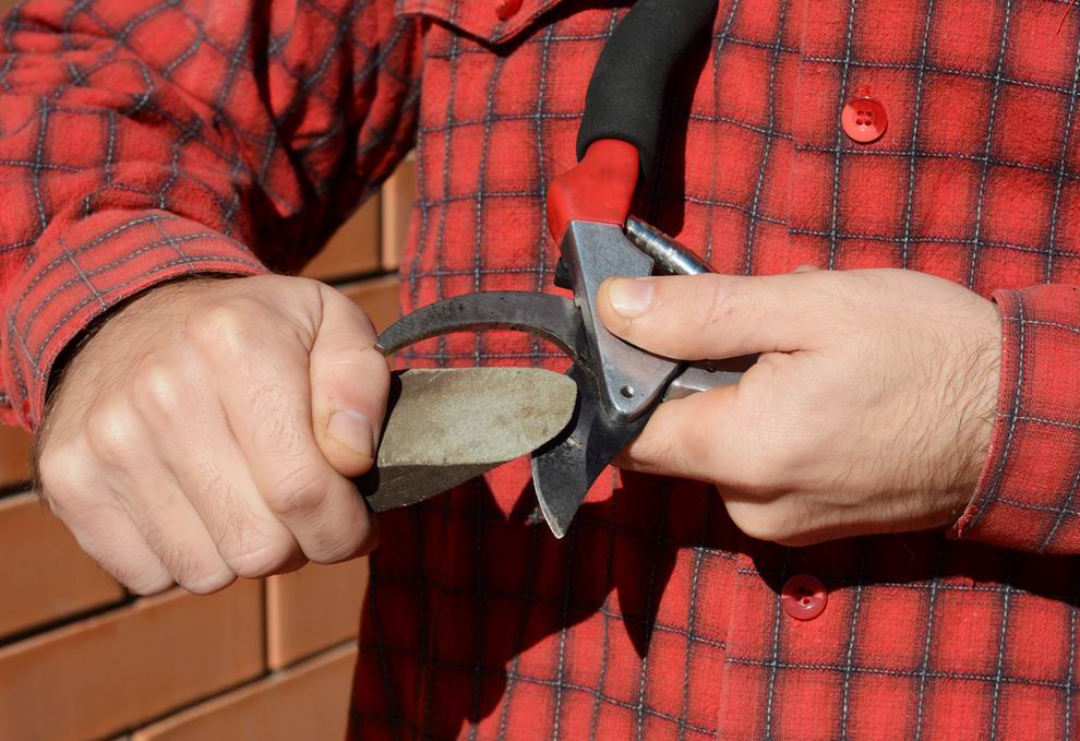 metszőolló élezés 