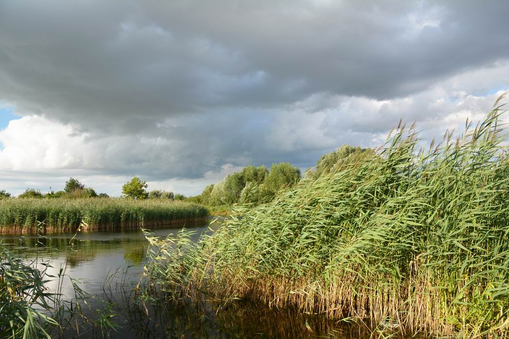 hűvös szeles időjárás