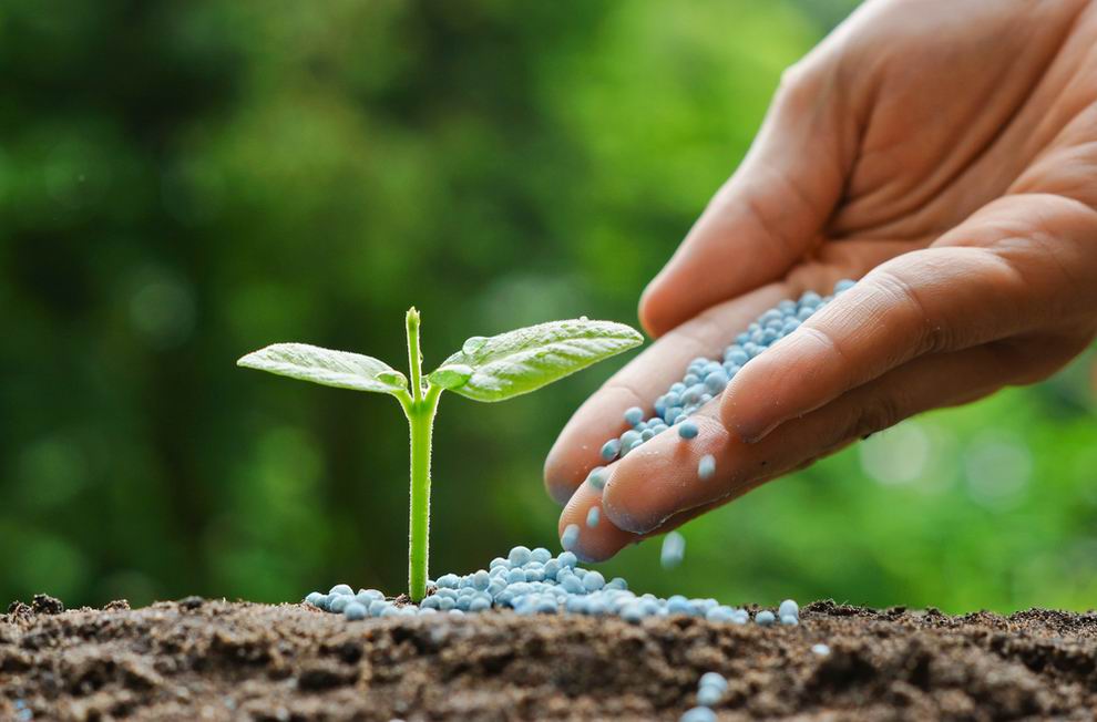 Háború a műtrágyapiacon: újabb áremelkedési hullám jön 2 műtrágya
