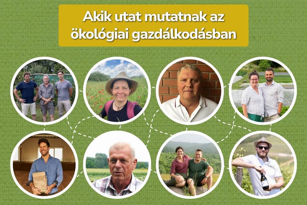 Világítótorony Ökogazdaságok Hálózata